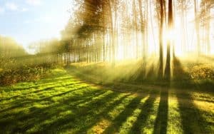 Sunbeams