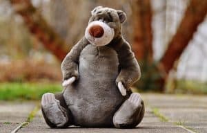bear-1236446_640