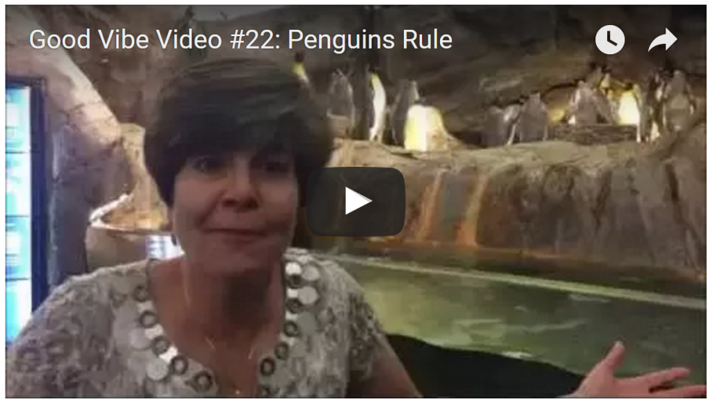 22-penguins-rule