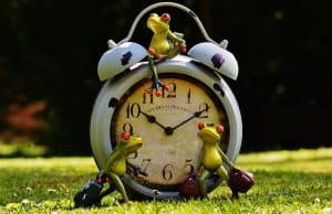 frogs-1407381_640