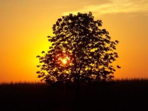 sunset-235574_640