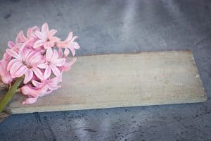 hyacinth-1403166_640