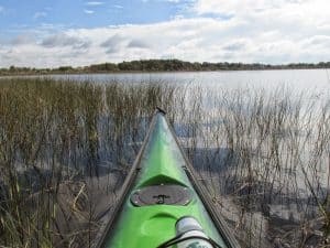 kayak